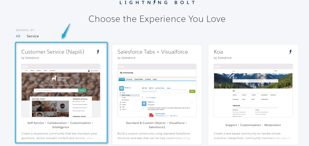 lightning bolt solutions Salesforce